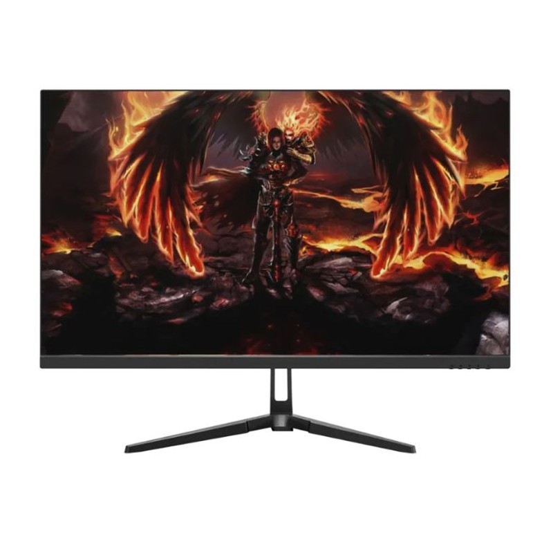 Ecran Gaming AERO QG25DFA 24.5'' Full HD 240Hz