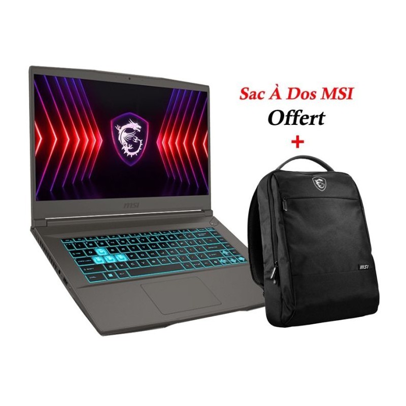 PC Portable Gamer MSI Thin 15 B13UCX i5 13è Gén...